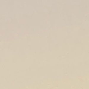 Meet your Posher, Amani